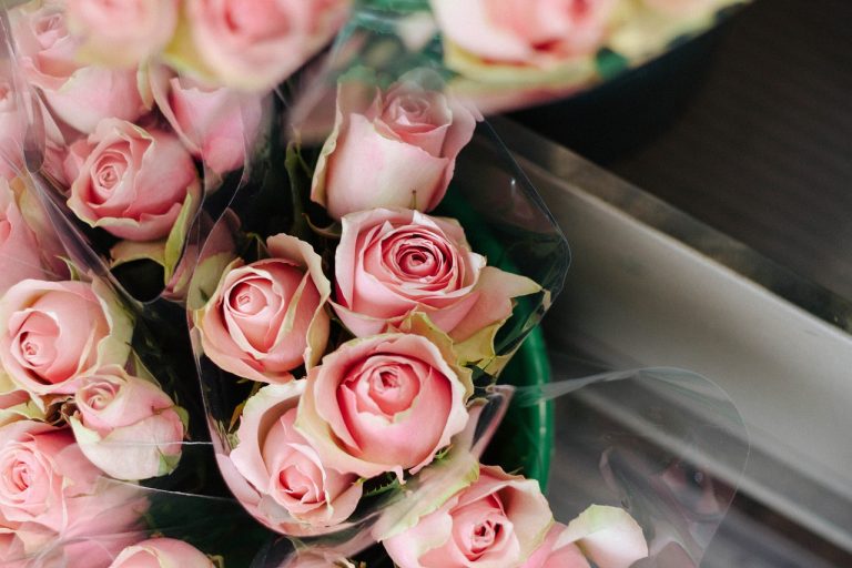 Read more about the article היתרונות והחסרונות של צמחייה מלאכותית